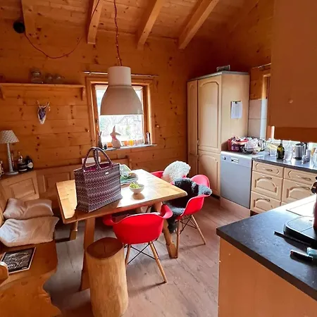 Beautiful Log Cabin Near Wildkogel Arena