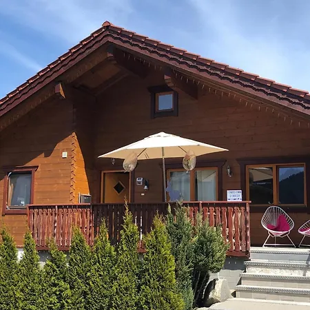 Beautiful Log Cabin Near Wildkogel Arena Holiday home